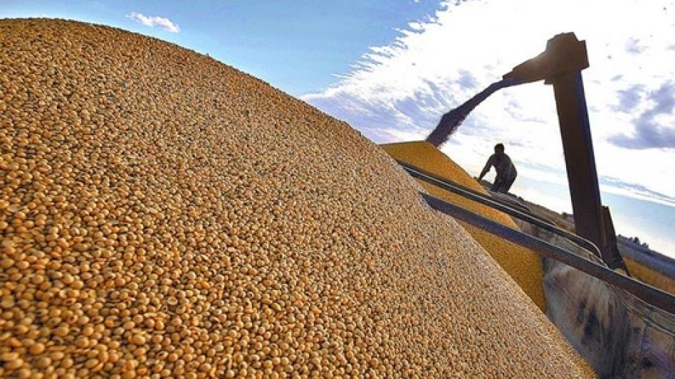 Un total de 28.840 kilos de soja fueron descargados Cofco Internacional, ubicada en la localidad santafecina de Timbúes.