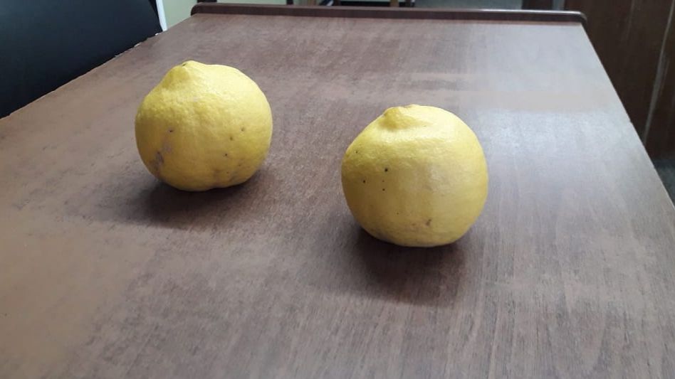 Unos limones   como melones
