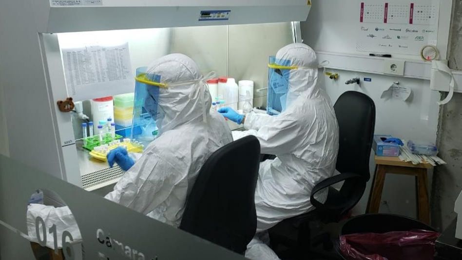 Coronavirus en el país: se registraron 3.168 nuevos contagios y 19 muertos