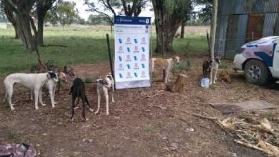 Caza furtiva: tres aprehendidos 