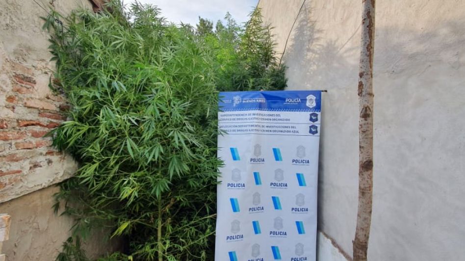 Efectivos policiales de la Delegación Departamental de Investigaciones del Tráfico de Drogas Ilícitas y Crimen Organizado llevaron a cabo este allanamiento. FOTOS: DROGAS ILÍCITAS AZUL/PBA