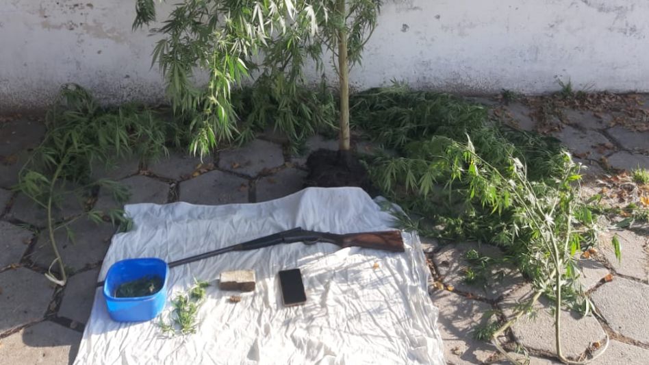  Incautaron marihuana y una escopeta: un aprehendido