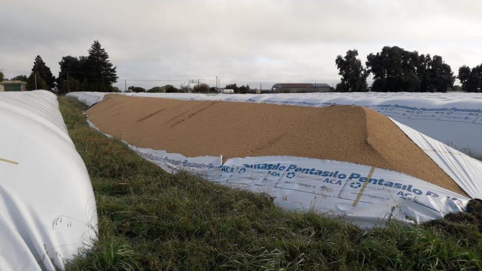 La Cooperativa Agropecuaria de Bolívar amaneció con cuatro bolsones con granos siniestrados, que se suman a otros tres que fueron atacados el domingo pasado en Mar del Plata.