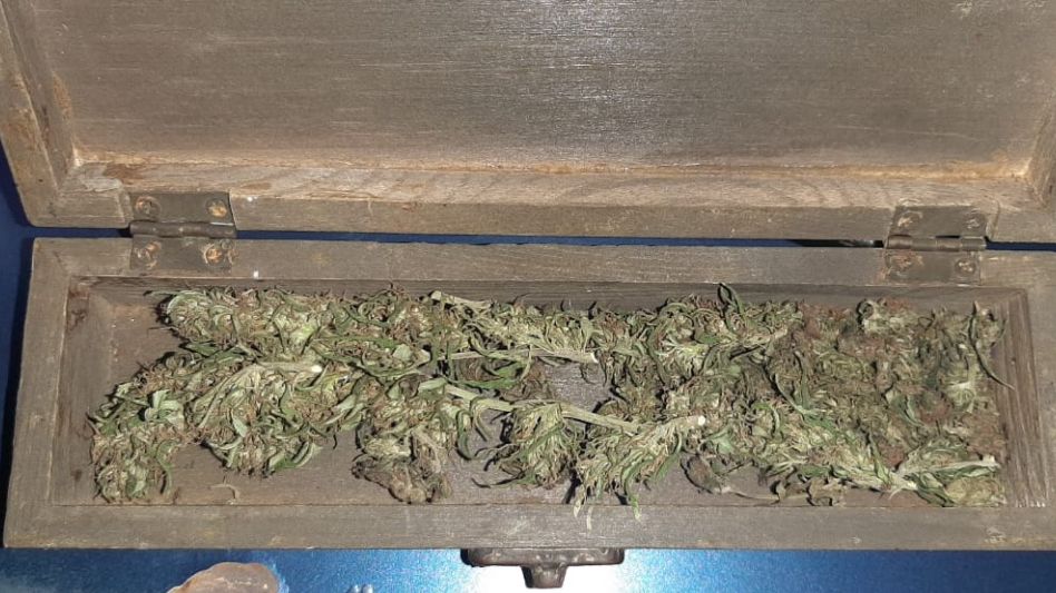 En poder de los adolescentes se incautaron marihuana y pastillas.  El procedimiento fue realizado en las primeras horas de este martes. FOTOS: DESTACAMENTO BALNEARIO/PBA