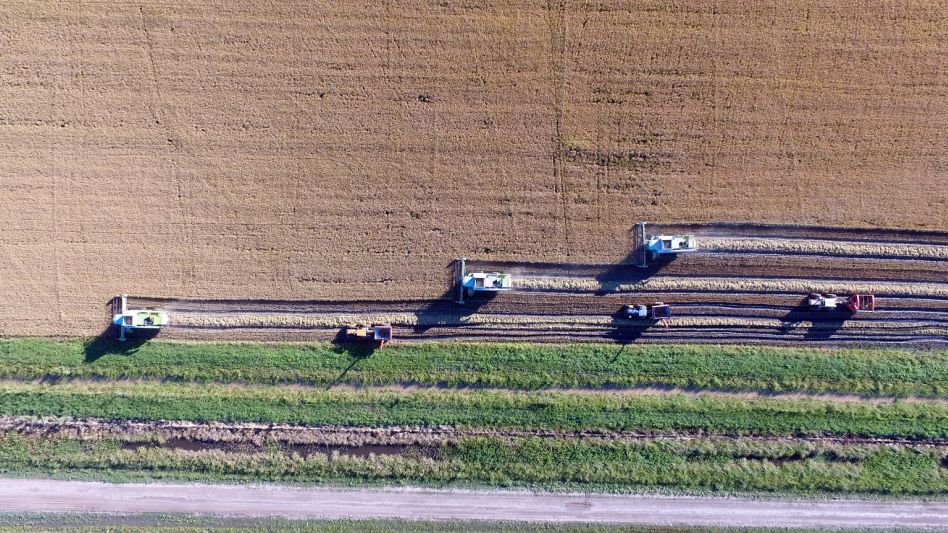 ARBA detectó maniobras de evasión por $ 354 millones en el sector rural