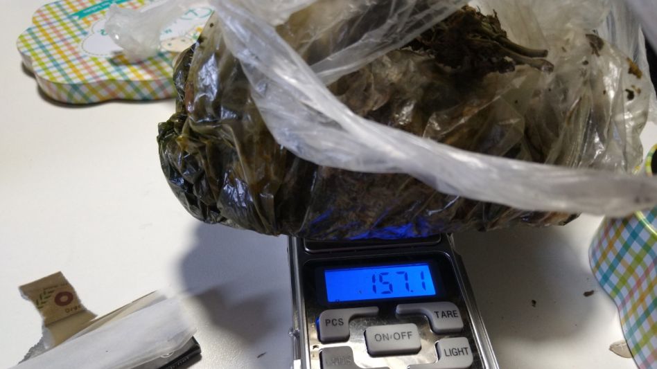 Cogollos de marihuana, una pequeña balanza y elementos para armar porros se incautaron en estos dos procedimientos. FOTOS: DESTACAMENTO BALNEARIO/PBA 