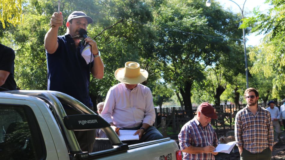El martillero Mariano Villalba junto a Antonio de Los Heros trabajando en Tapalqué.