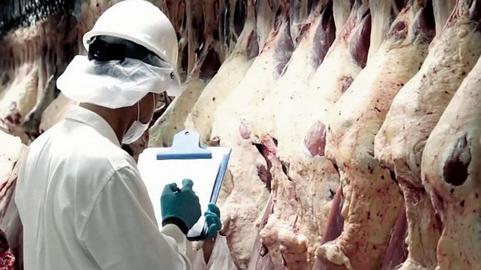 El Gobierno le puso fin a la media res de carne vacuna