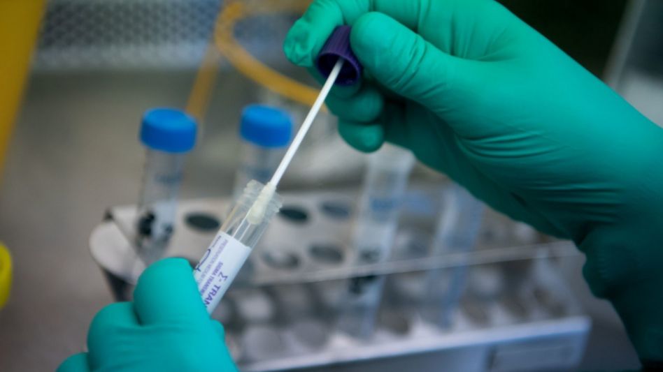 Murieron 231 personas y 16.502 resultaron contagiadas de coronavirus en el país