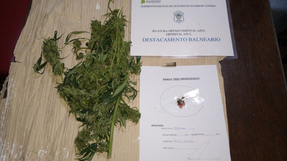 El procedimiento se llevó a cabo hoy miércoles. El conductor del auto donde fue hallada la marihuana tiene 21 años, se informó. FOTOS: DESTACAMENTO BALNEARIO/PBA