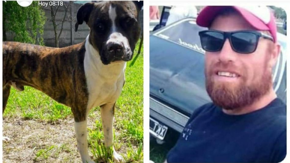 El perro y el hombre que lo mató de una puñalada. Ambas imágenes fueron difundidas en redes sociales por la propietaria de la mascota para dar cuenta de lo sucedido el pasado sábado.   FACEBOOK 