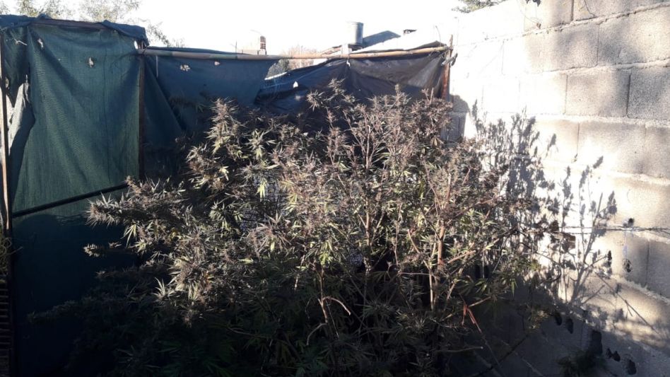  La Policía hizo allanamientos y arrestó a una mujer y su hijo menor de edad