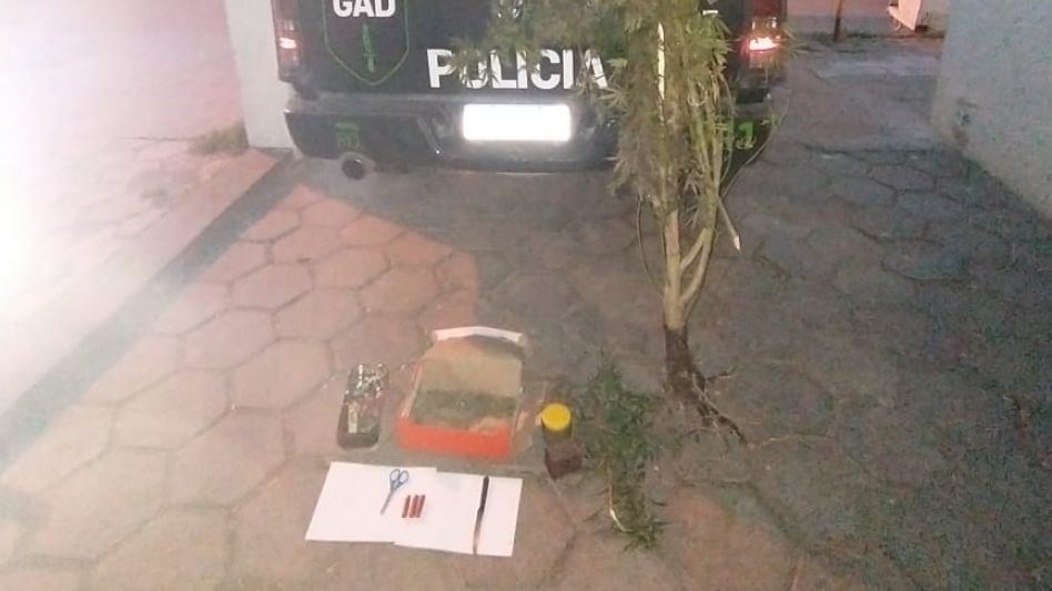  La Policía hizo allanamientos y arrestó a una mujer y su hijo menor de edad