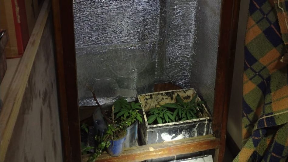  Allanamientos en Cacharí: un comerciante aprehendido