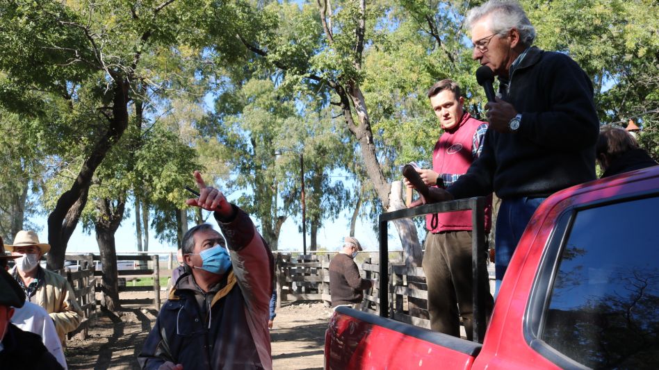 El trabajo de Adolfo Koerner y sus martilleros en la feria local