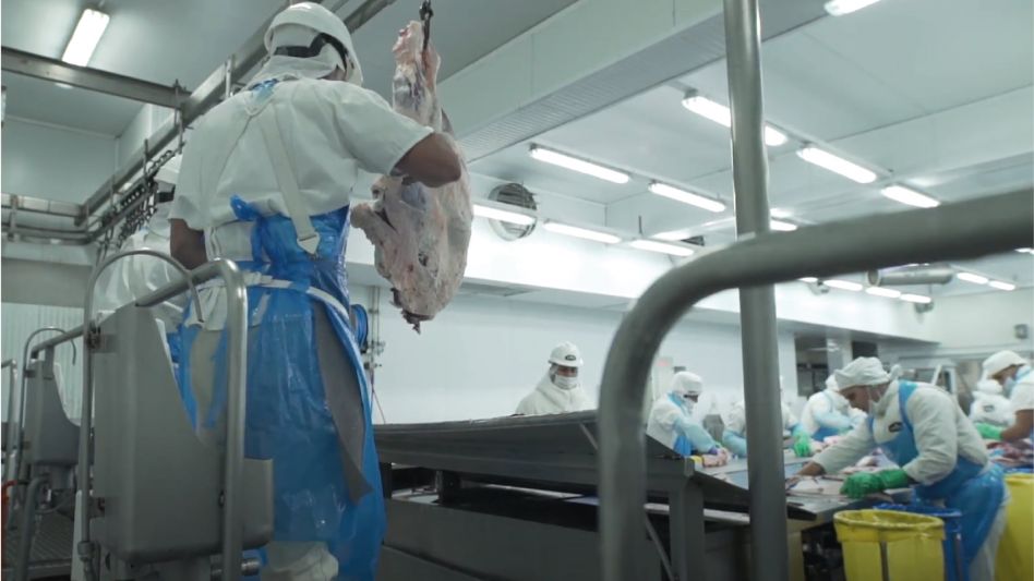 "Ante la suspensión de la exportación de carne, se pierde terreno en la competencia con Brasil, Uruguay y Paraguay"