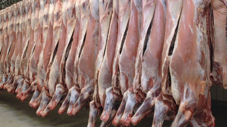 Kulfas dijo que intentará reabrir las exportaciones de carnes antes de 30 días