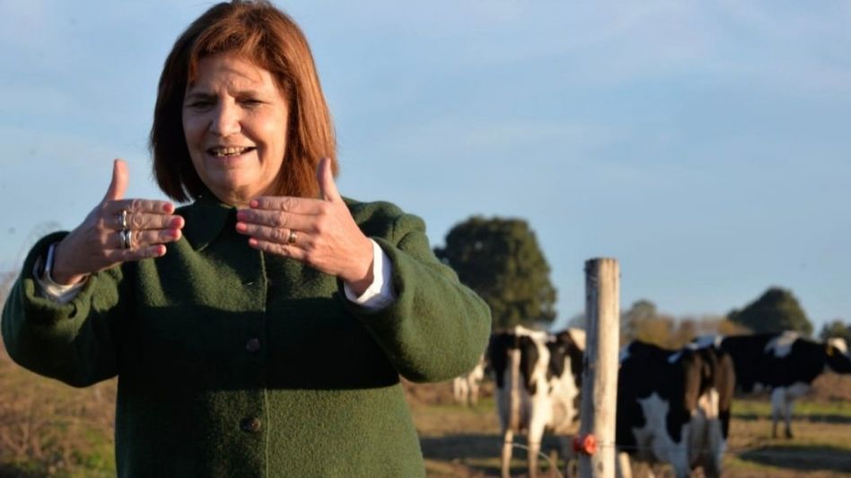 Tras la acusación de Bullrich, Pfizer negó un pedido de coimas del Gobierno