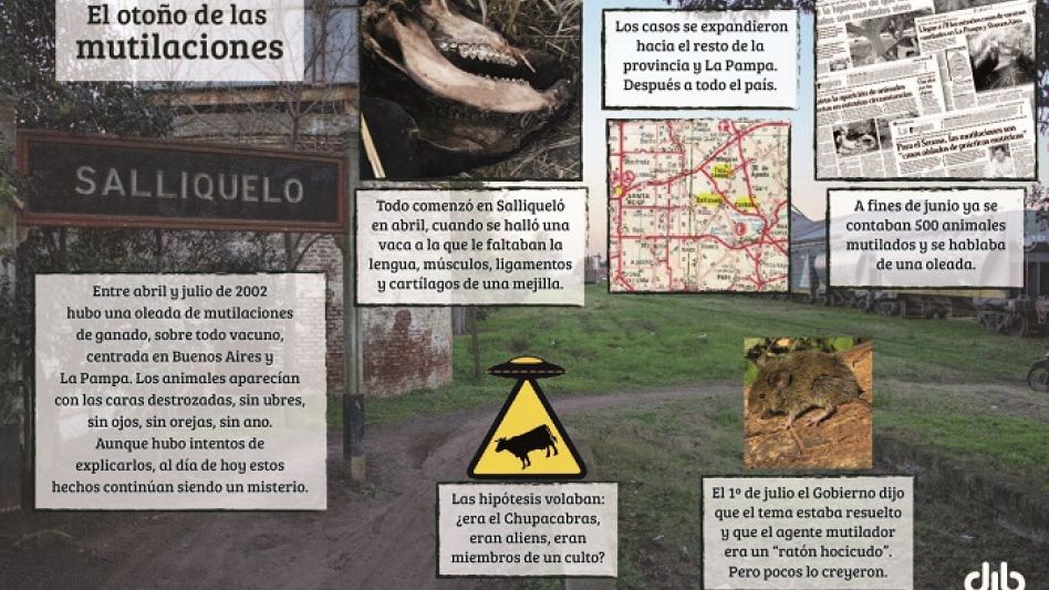 El misterioso fenómeno de las vacas mutiladas que azotó la provincia en el otoño de 2002