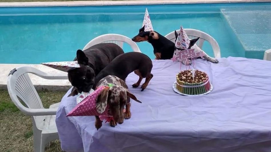 Uno de los tantos cumpleaños que se celebraron en ?Perrolandia?.