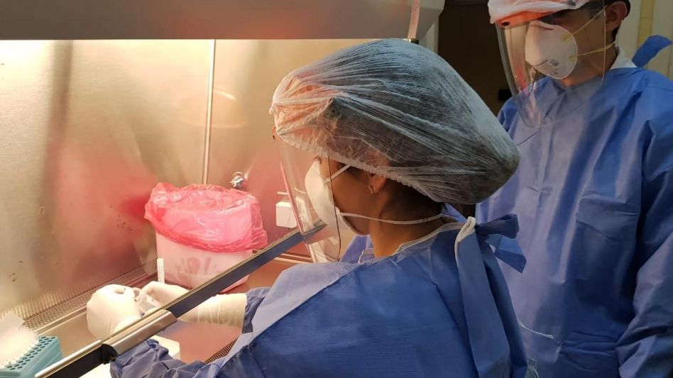 Coronavirus: hay 7.910 personas internadas en terapia intensiva