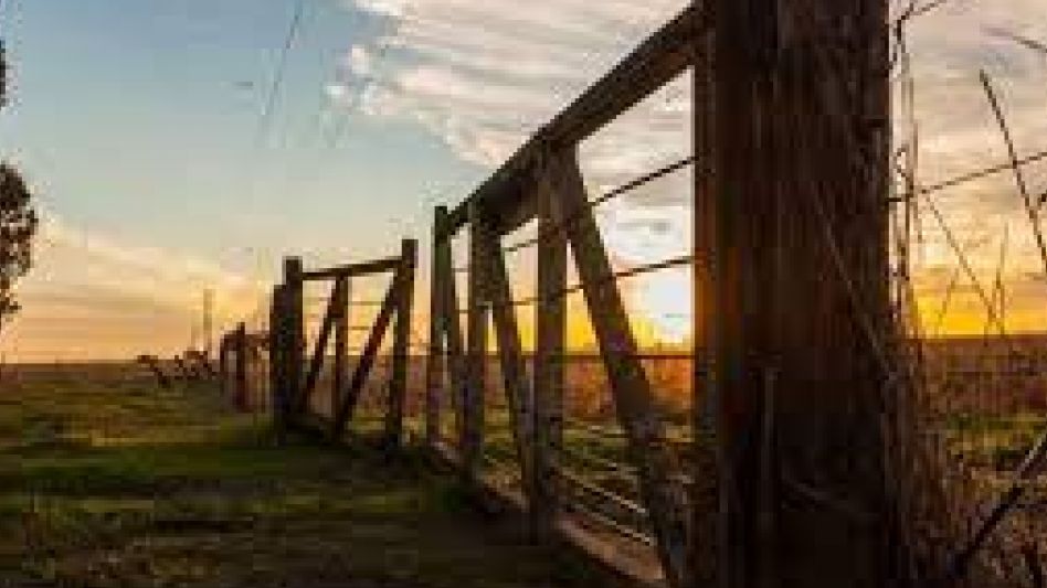Se estabilizó el precio de la tierra y la actividad inmobiliaria internacional creció 18% en mayo