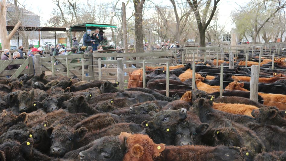 Las haciendas Marca Líquida que afirmaron los números en Rauch. 
