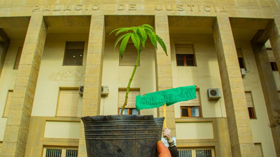 Una de las postales que quedó de la marcha que cultivadores azuleños realizaron el viernes pasado. NICOLAS MURCIA.