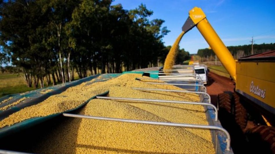 La soja se vendía a US$ 500,8 por tonelada, valor 65,8% más elevado que el de hace 15 meses, sostenida por 