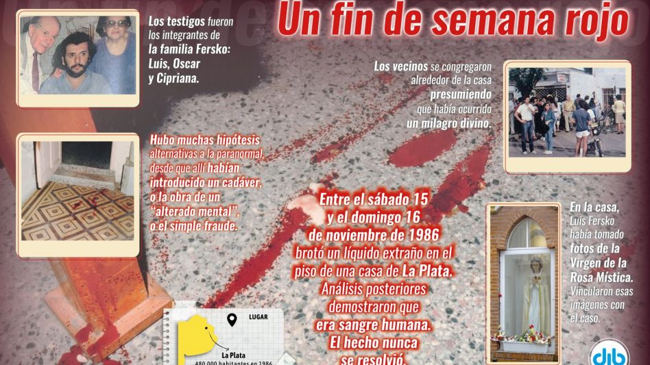 Infografía: DIB