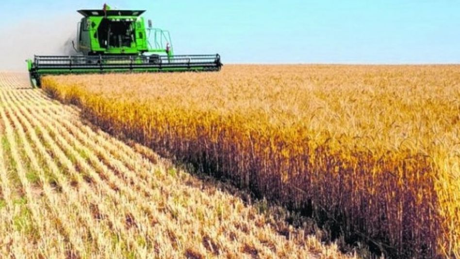 La siembra de trigo se encuentra próxima a finalizar a nivel nacional tras los avances de la última semana, y se ubicó en el 96,2% de las 6,5 millones de hectáreas estipuladas para el cereal.