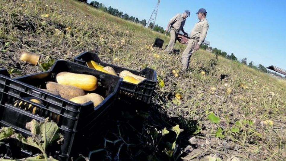 La brecha de precios para el promedio de los 24 principales productos agropecuarios aumentó 11% en junio y el consumidor pagó 5,22 veces más de lo que cobró el productor en tranquera.