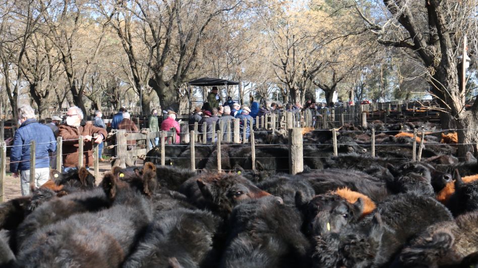 La feria de Hugo R. Aristegui y Cía., donde se afirmaron números.