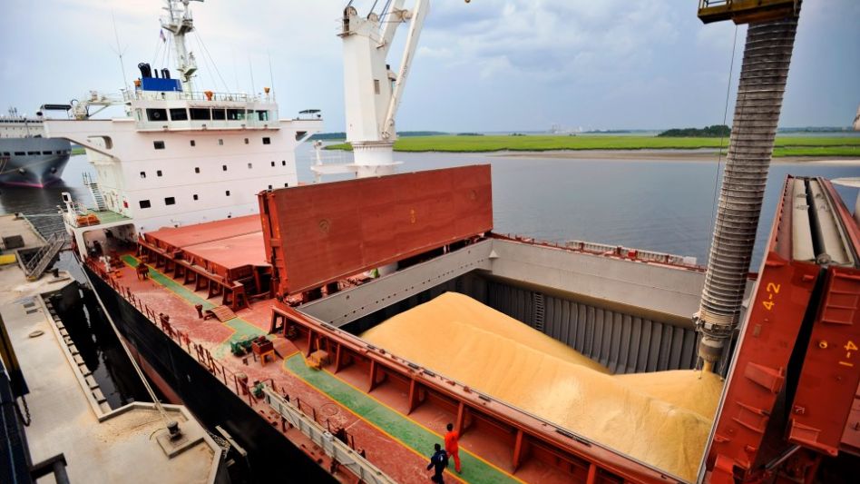 El sector agroindustrial liquidó 20 mil millones de dólares en lo que va del año