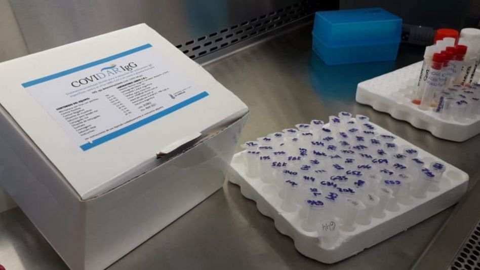 Reportaron 13.786 contagios y 276 nuevas muertes por Covid en Argentina