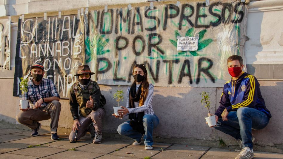  Se aprobó la ordenanza para la regulación de la producción y el uso de cannabis medicinal