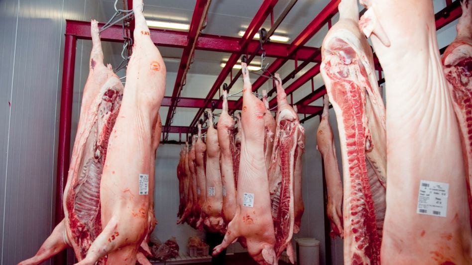 Preocupa al INTA la suba de importación de la carne de cerdo