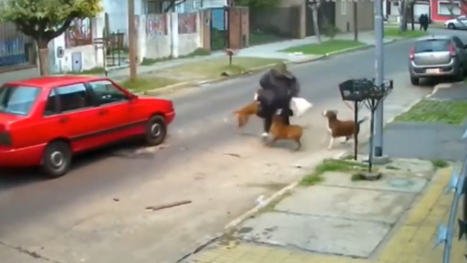 Una mujer fue atacada por tres perros pitbull en plena calle
