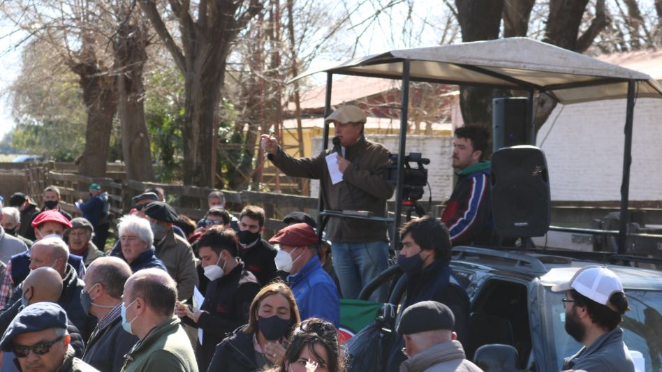 El remate aniversario de Wallace SA., con la gente volviendo a la feria.  