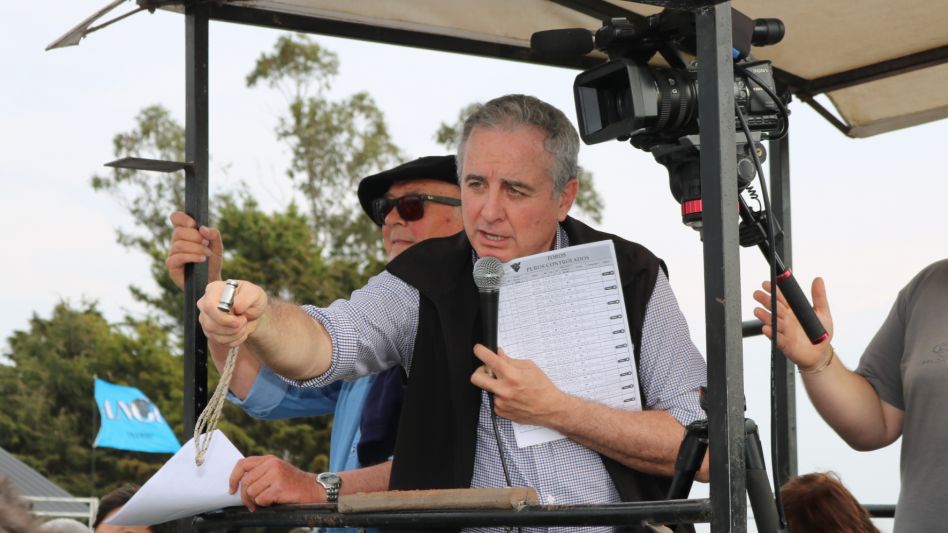 Juan Wallace liderando los negocios del primer remate junto a la cabaña Inambú. El martillero también ubicó la producción de El Paso de Rivolta.