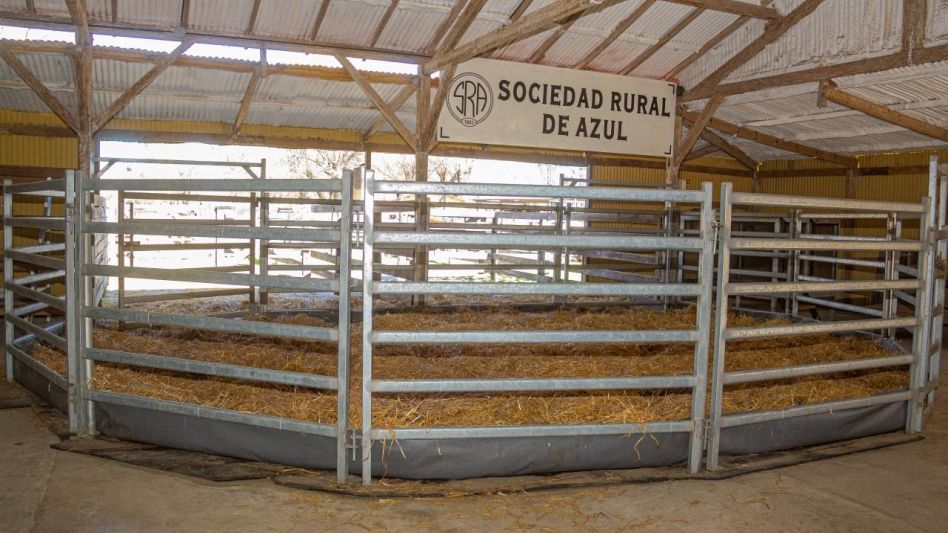 Este lunes desde las 11 horas se realizarán las ventas en la pista central de la Sociedad Rural de Azul.