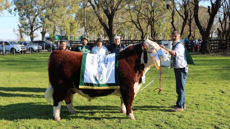 El Gran Campeón Macho PH de la cabaña 