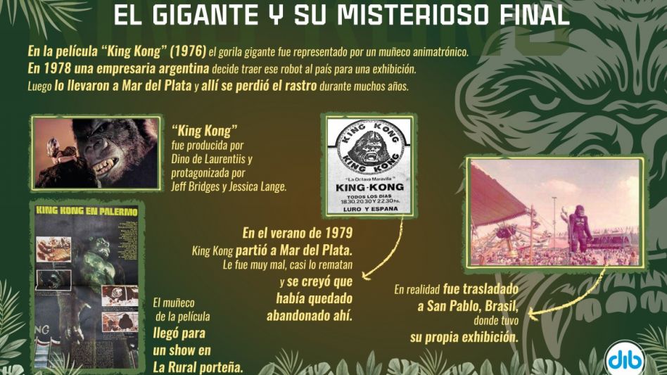 Infografía: DIB