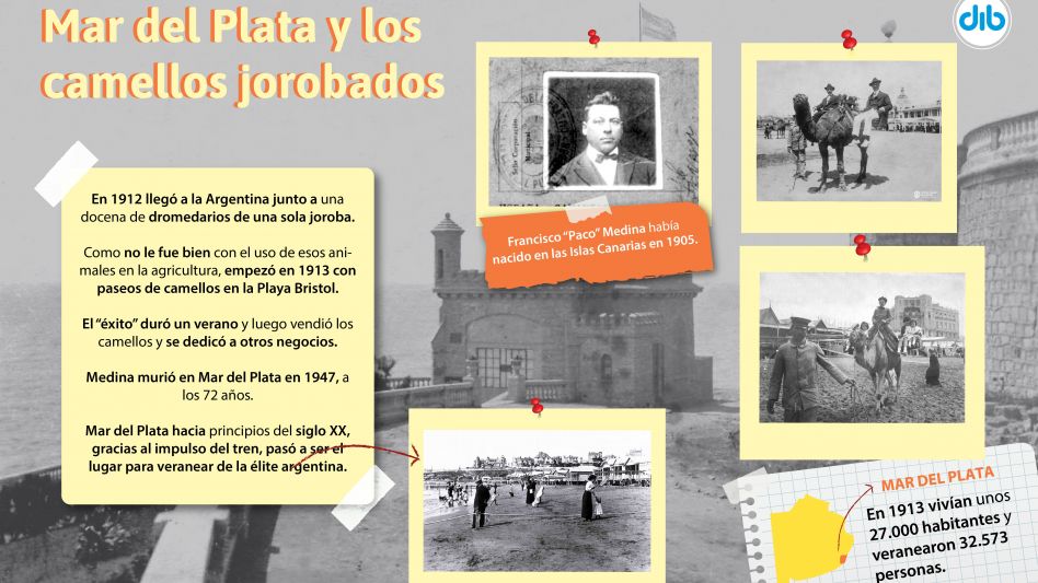 Infografía: DIB