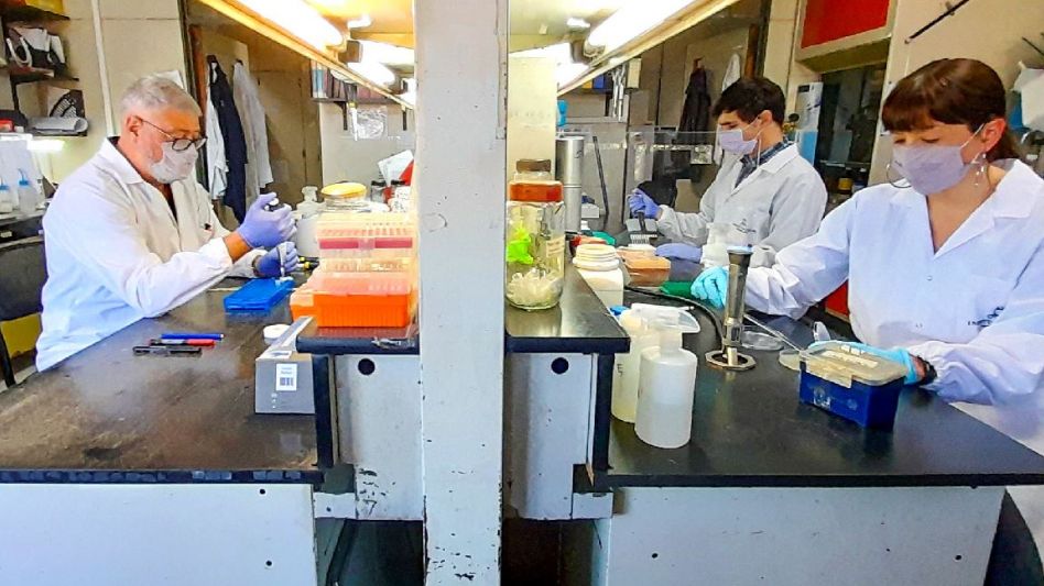 Una vacuna monodosis argentina neutralizó las variantes Delta, Gamma y Alfa