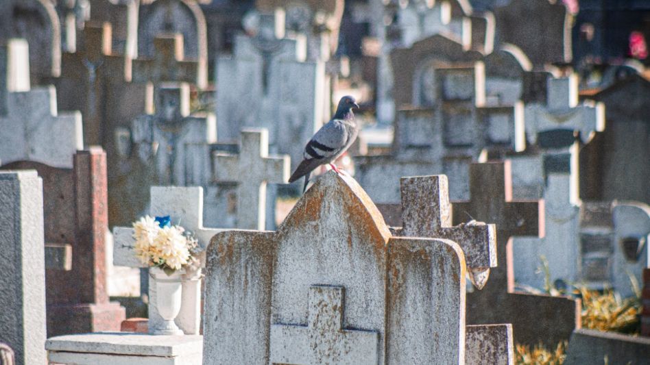 "Me parece que no hay una dirección, una guía, un plan   hacia dónde llevar la gestión del Cementerio Municipal"