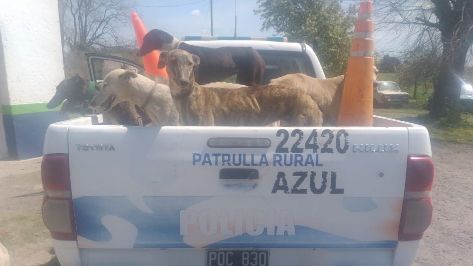 Uno de los arrestados en este procedimiento tiene 41 años de edad y el otro, 46. Tras ser notificados de la formación de la causa penal que los involucra recuperaron la libertad. FOTOS: CPR AZUL/PBA