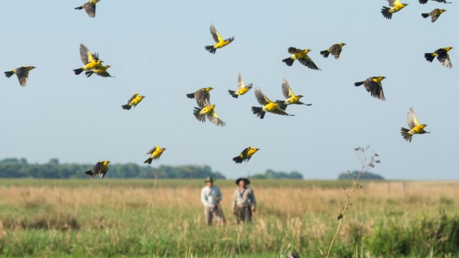 Un paseo por los cielos del país