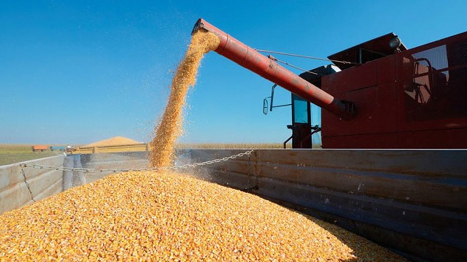 Se hizo oficial: las exportaciones de maíz están abiertas y Argentina exportará un récord de 38,5 millones de toneladas