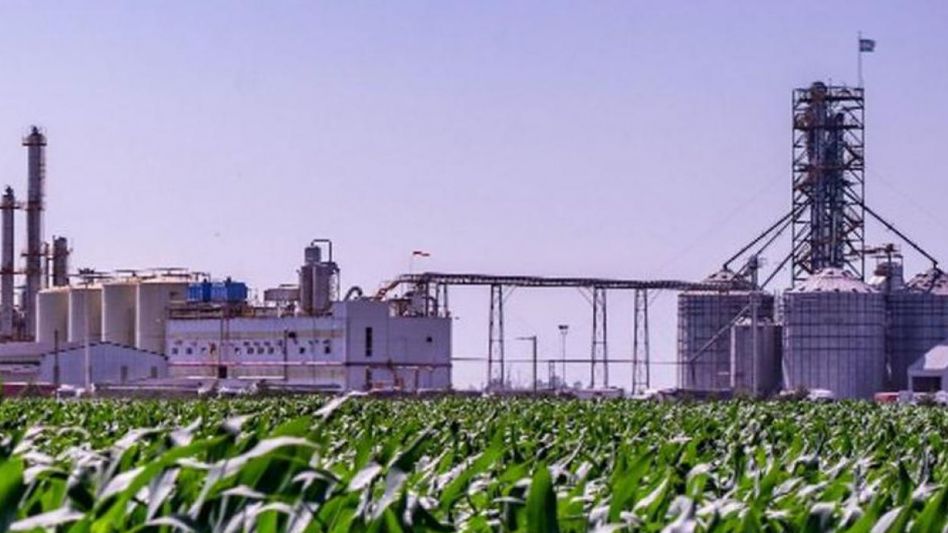 A través del Decreto 717 publicado en el Boletín Oficial, el Gobierno reglamentó las actividades de elaboración, almacenaje, comercialización y mezcla de biocombustibles.